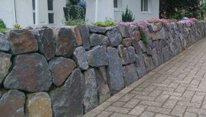 Gartenbau-Natursteinmauer.jpeg