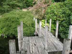 Gartenkonfugurator-Wasser im Garten.jpeg