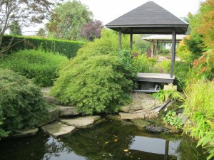 garten design online.jpeg