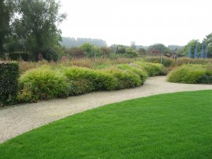 mein schöner Garten-online Gartenplanung.jpeg